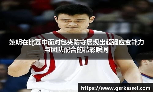 JJB竞技宝官网